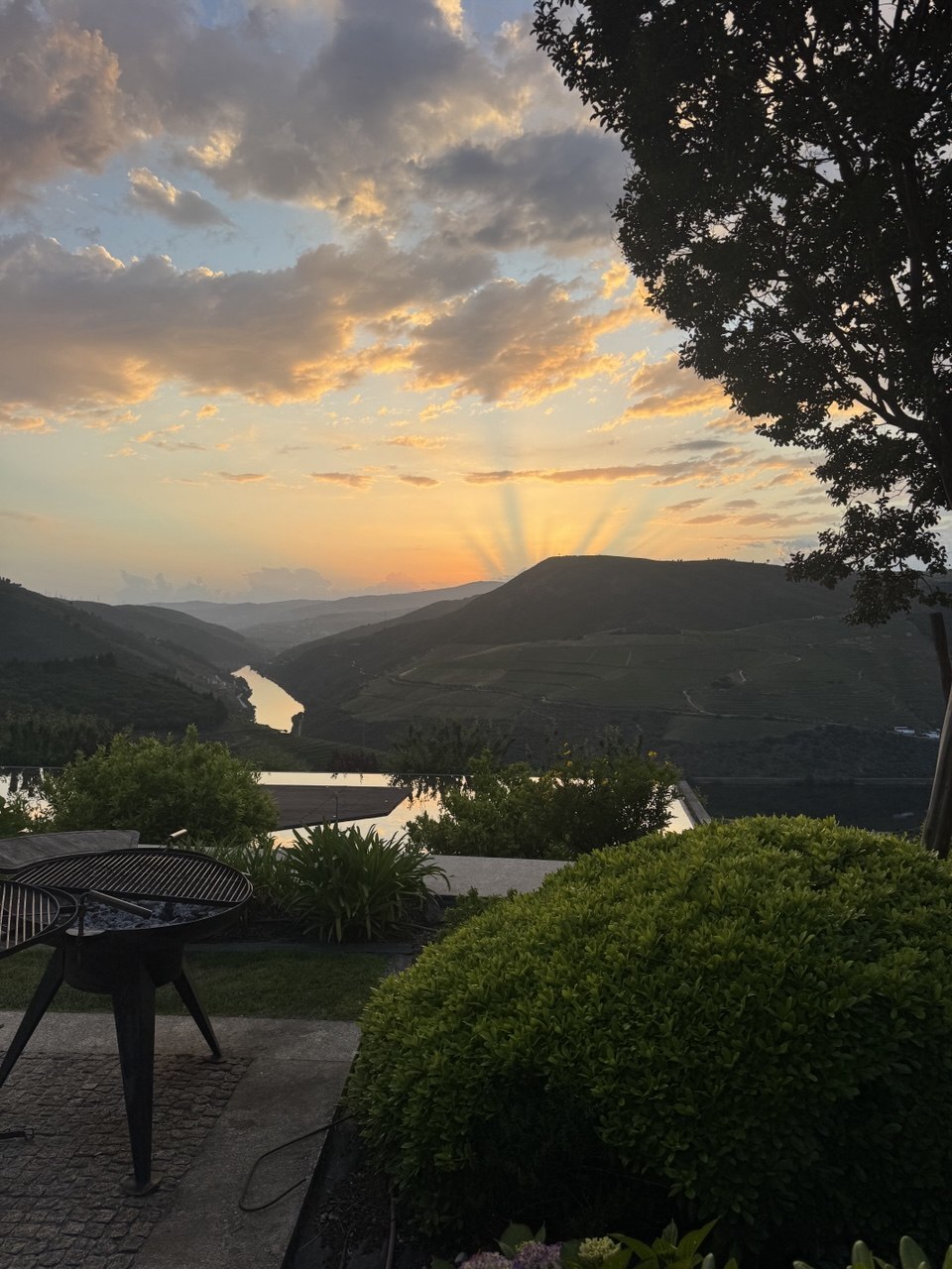 The Douro Valley at sunset